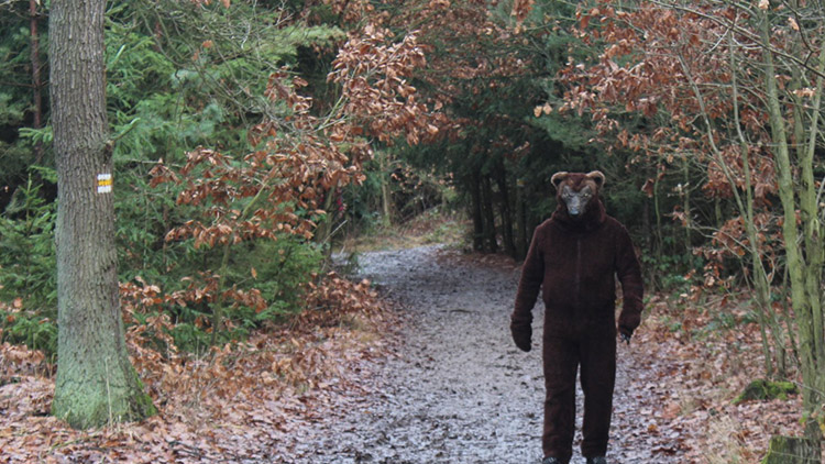 U Plumlova se objevil medvěd!