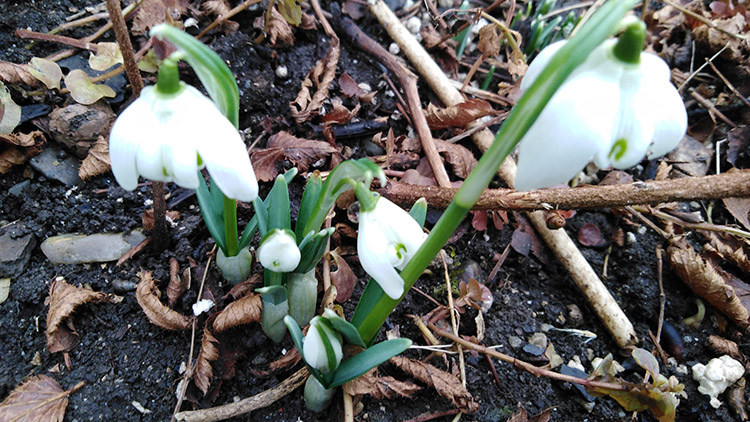 Jaro je tady,  máme důkaz!