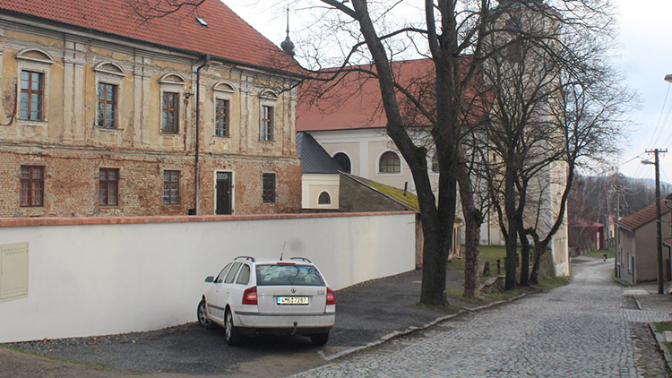 V Konici skácí stoleté javory