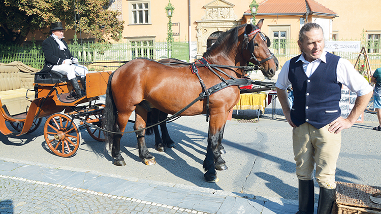 Událost jara s Václavem Obrem