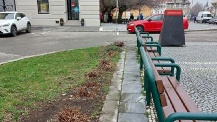 Radní nařídili obnovu zeleně