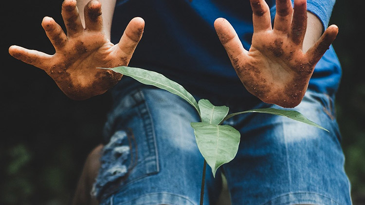 Nastal správný čas pro péči o zahradu
