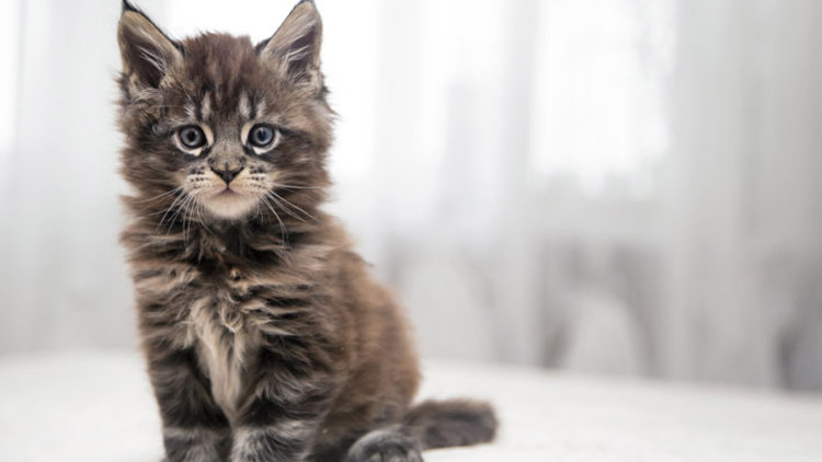 Desítky tisíc se potulovaly na ulici