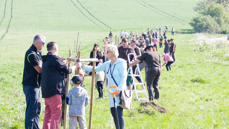 V Dobrochově vysadili   LIŠČÍ ALEJ