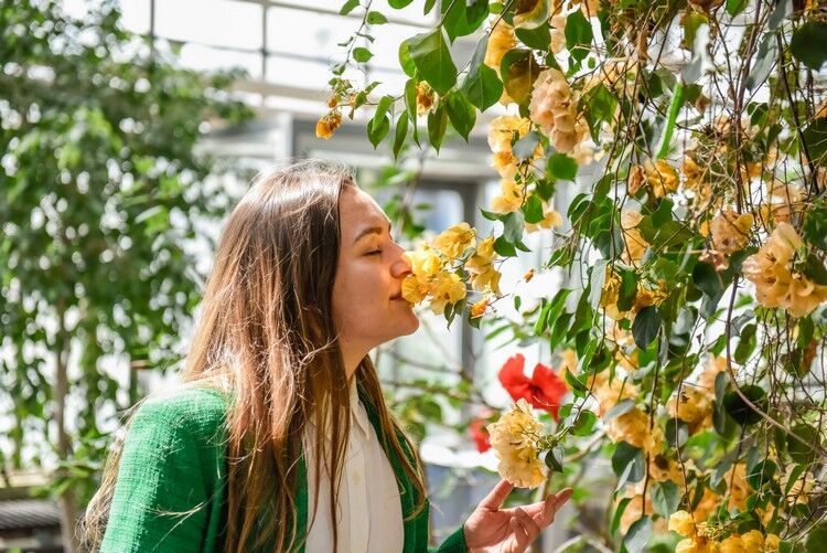 Foto: Jan Krčmář Výstava Flora Olomouc vezme návštěvníky do Galaxie květin. Hlavní expozice propojí vesmír s kvalitní floristikou