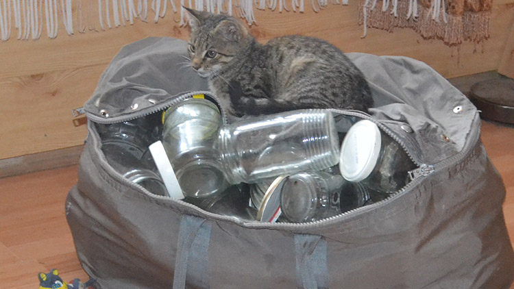 Když Míca zavařuje...