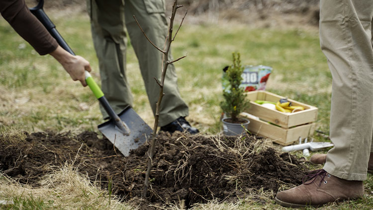 O sázení je zájem