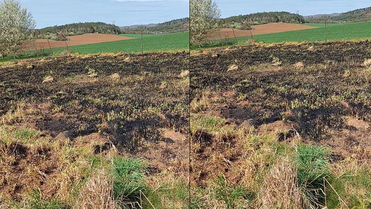 AKTUALIZOVÁNO: V Kobylničkách vypaloval trávu!