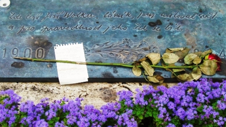 Stížnosti se množí, ale…