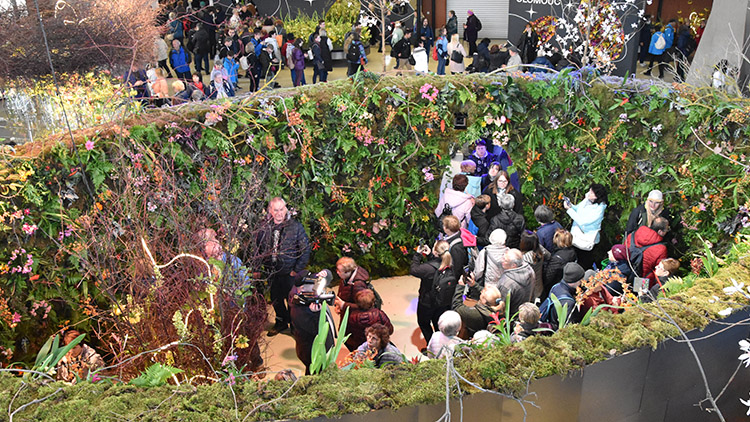 Flora představila Galaxii květin