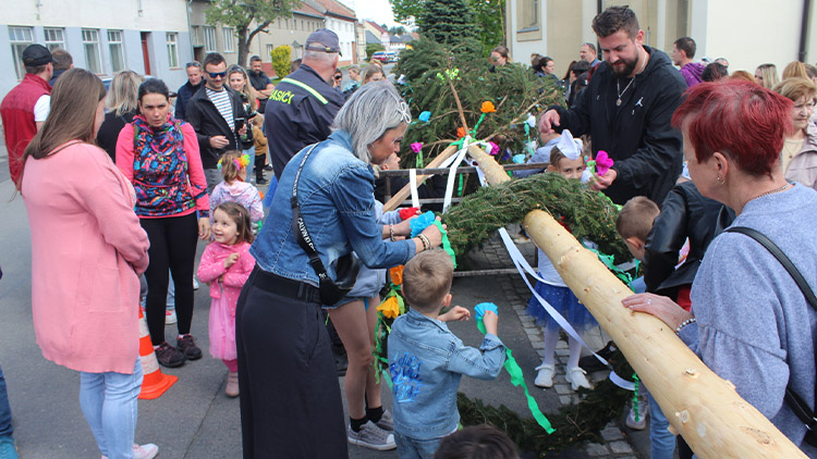 V Držovicích stavěli májku