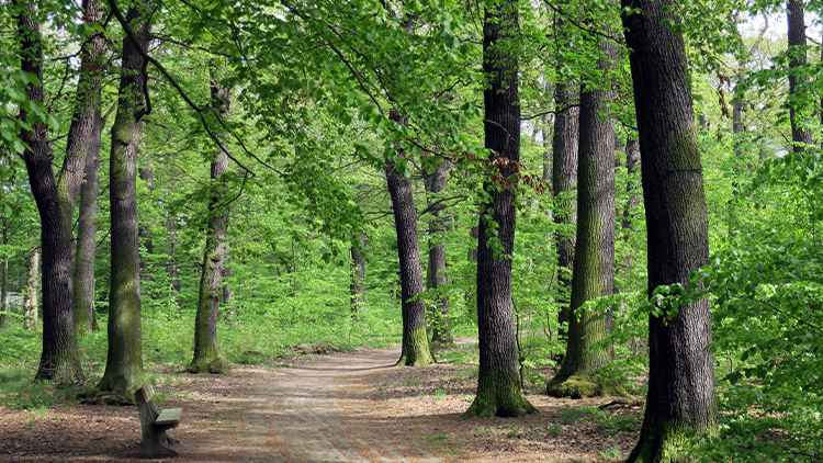 Pochod k bunkru Na Kabeláři