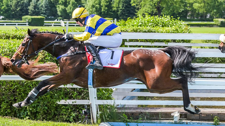 Koně ze Srdéčka opět bodovali