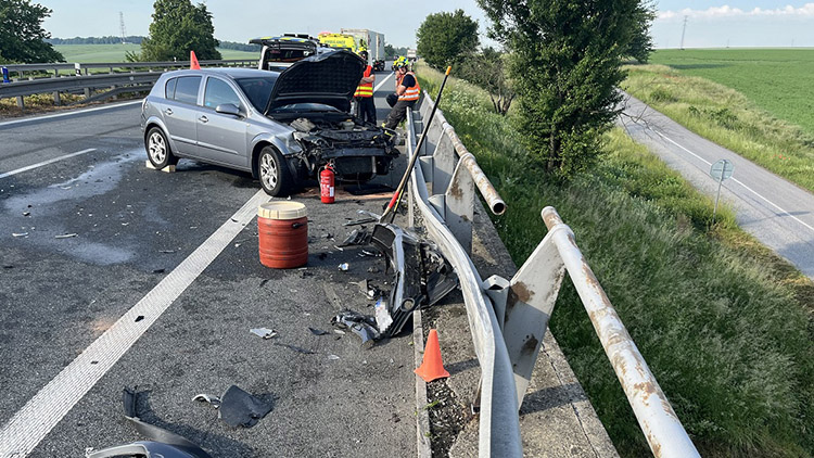 Chytal dotěrnou mouchu,  napálil to do svodidel!