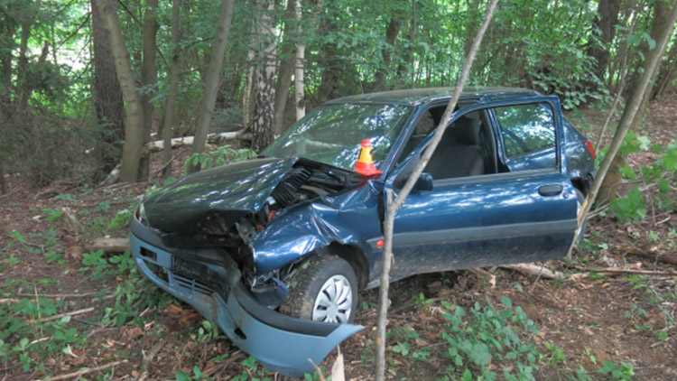 Opilý senior vletěl do stromu!