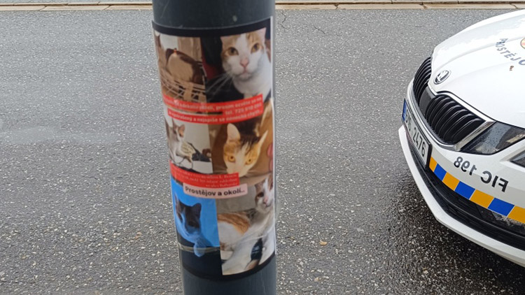 Dívka znečistila sloupy na náměstí