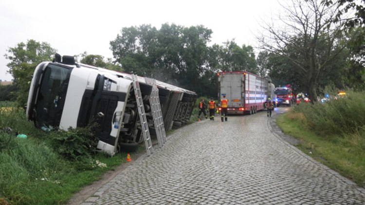 Kamión plný krav položil na silnici