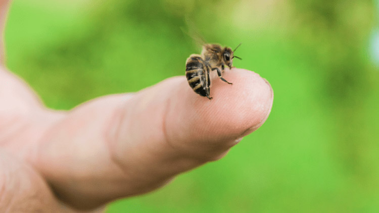 Dobří lidé ještě žijí!