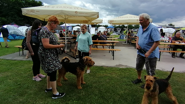 AKTUALIZOVÁNO: Do Prostějova se sjeli teriéři z celé republiky