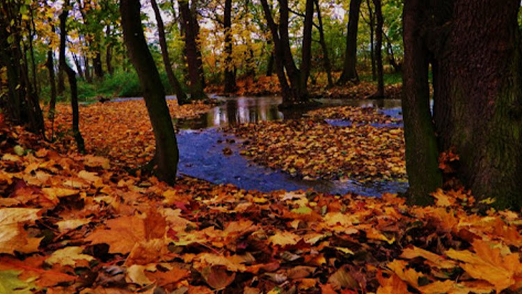 Úklid Hloučely odložen