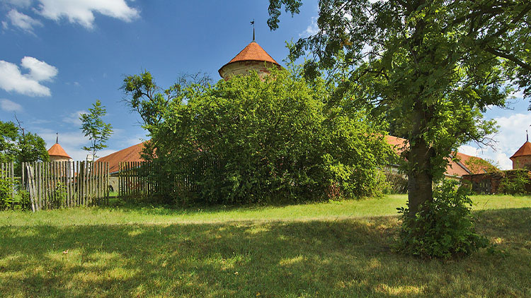 Ve Ptení se bude sázet