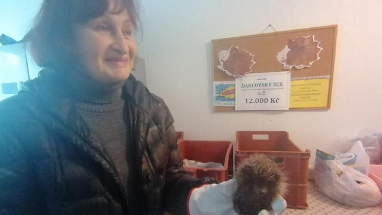 Záchranná stanicie v Němčicích funguje už 20 let