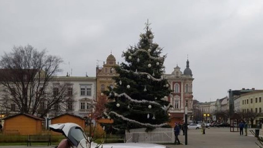 Křivák bude chybět