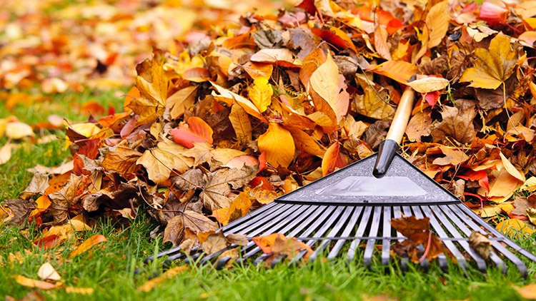 Listí ze sadů má zmizet