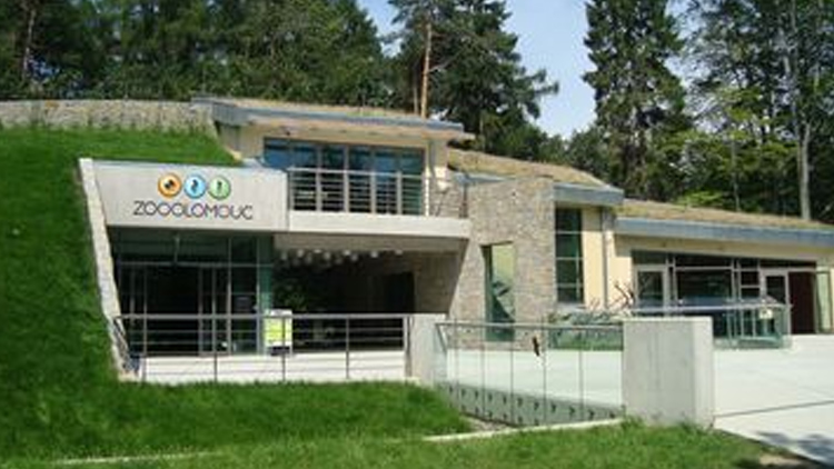 Něco málo o zvířátkách