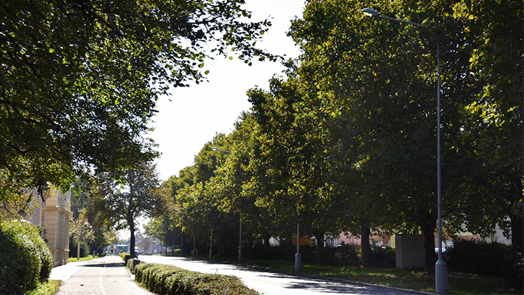 Hlasujte pro Brněnskou v Aleji roku!