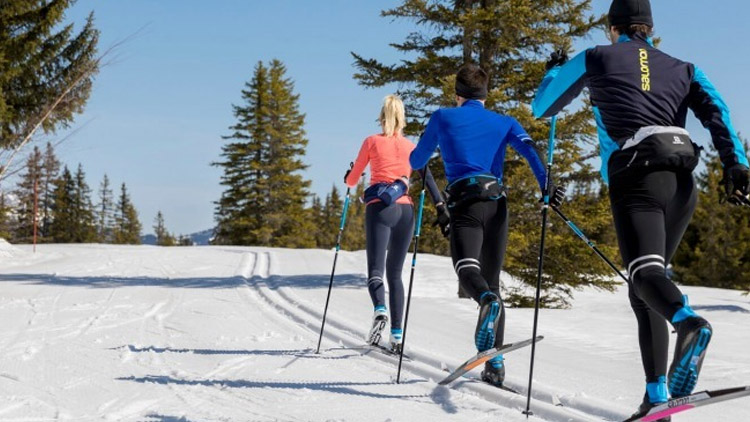 Milovníkům běžek radí web