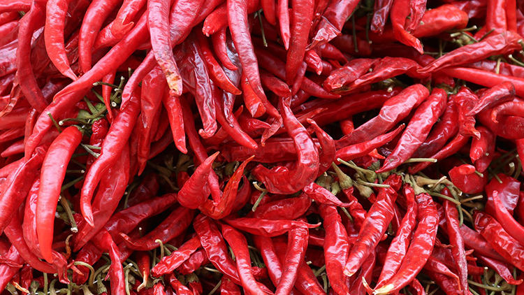 Nejpálivější chilli paprička na světě vás může zabít