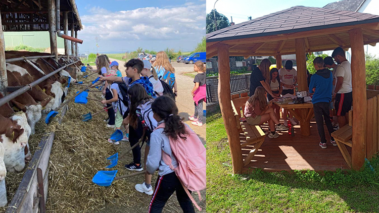 ZŠ a MŠ Přemyslovice se maximálně snaží jít s moderní dobou