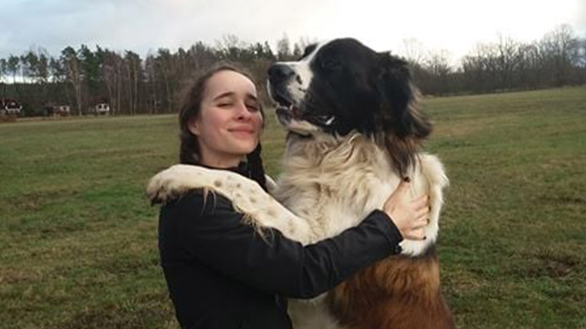 Moskevští strážní psi byli odchyceni u Brodku u Prostějova