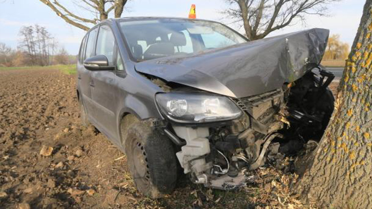 Napálila to do stromu!