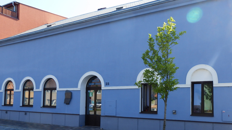 Masopust v knihovně