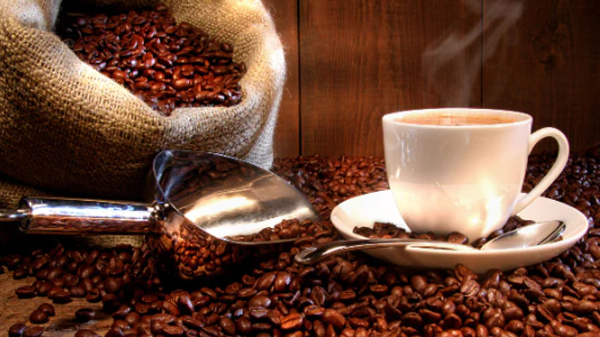 Tajemství kávy a jejích nejrůznějších druhů