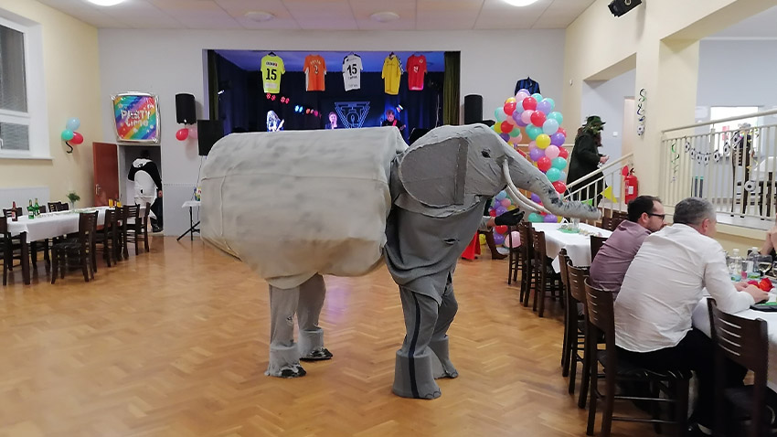 Vzkaz z Pivína na „Bělák“: Vy máte bejka, my slona!