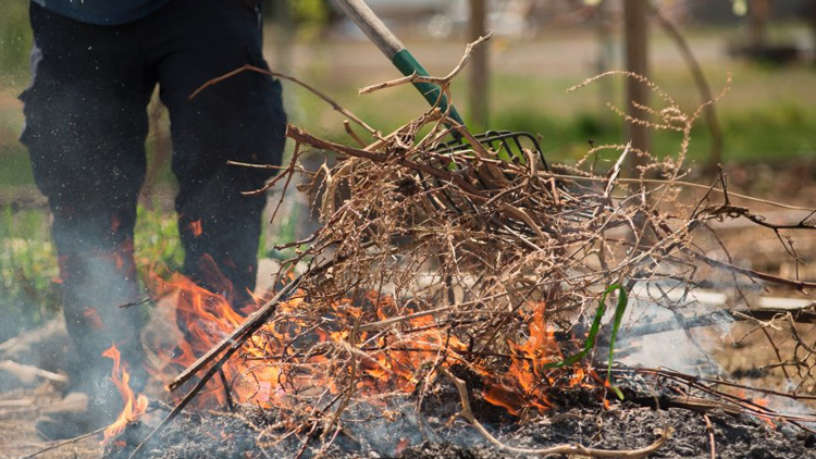 Pálil mokré větve