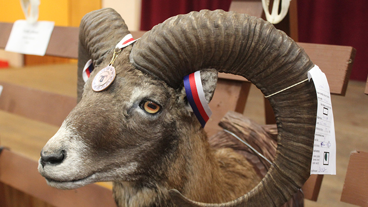 AKTUALIZOVÁNO: Myslivci vystavovali v Čelčicích své trofeje