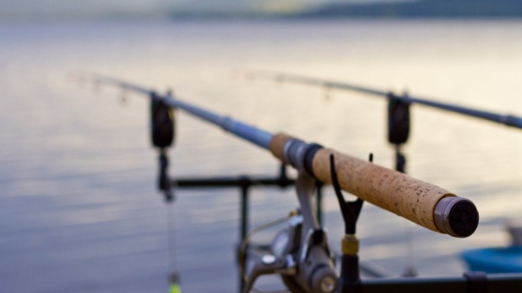 Pytlačili v Krasicích