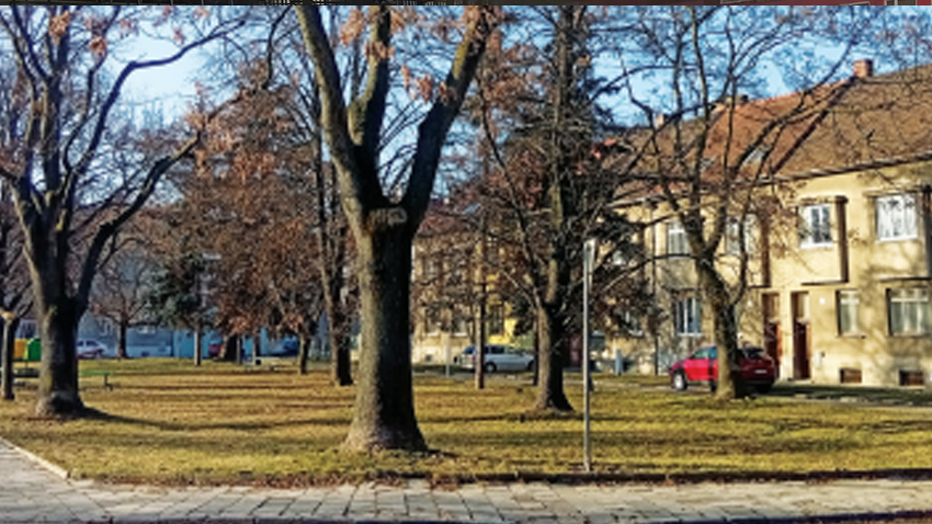 Prostějovské parčíky čeká revitalizace