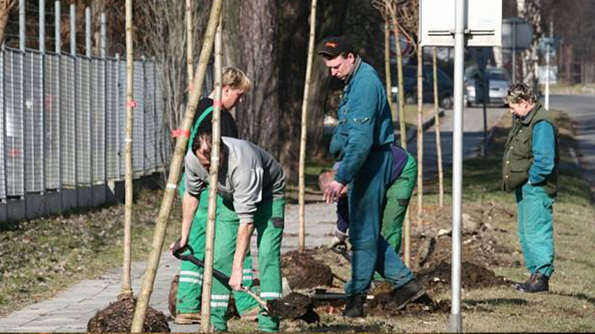 Jarní výsadba přijde městskou kasu na 5 milionů