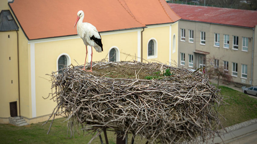 ČÁPI SE VRACÍ do celého regionu!