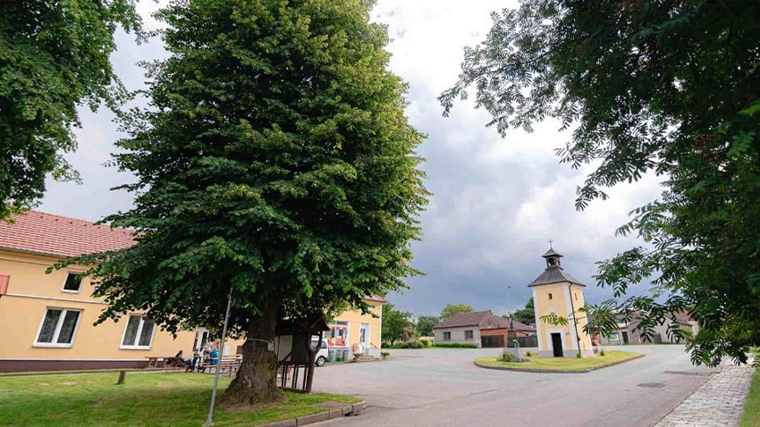 Nominujte Strom roku 2025!