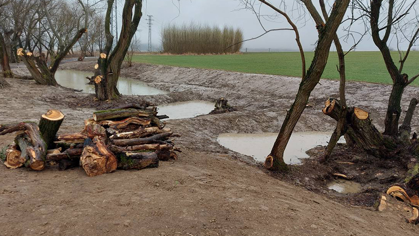 Nad Konicí vzniká  nové výletní místo