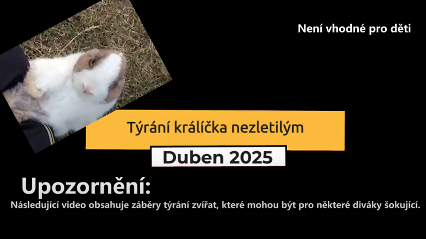 AKTUALIZOVÁNO: VIDEO: Desetiletý úchyl utýral králíčka železnou tyčí!