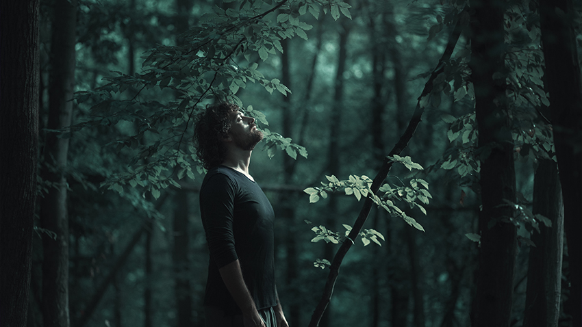 Světová floristika na výstavě Flora Olomouc. Hlavní expozici vytvoří mezinárodně uznávaný florista Robert Bartolen