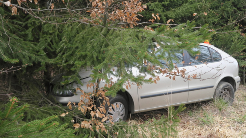 S autem skončila v lese