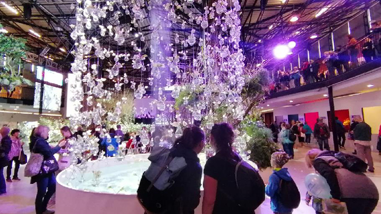 Flora nabídla dvanáct ostrovů